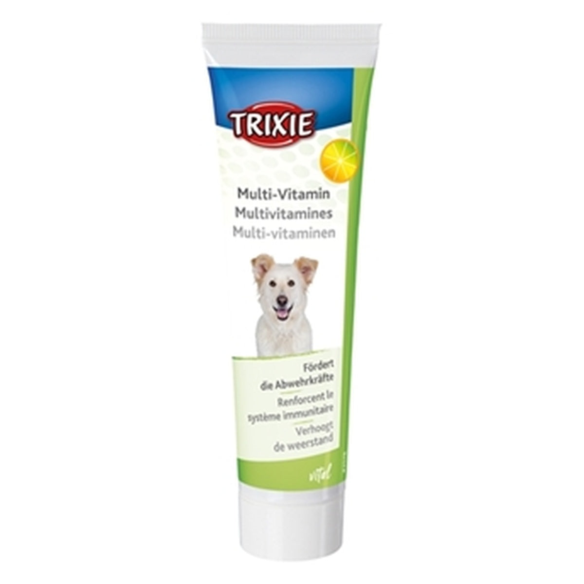 MULTI-VITAMINE PASTA HOND 100GR