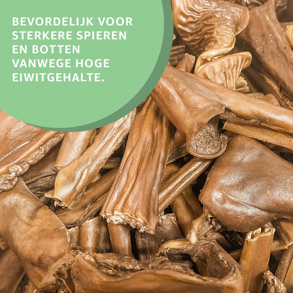 Paardenhuid