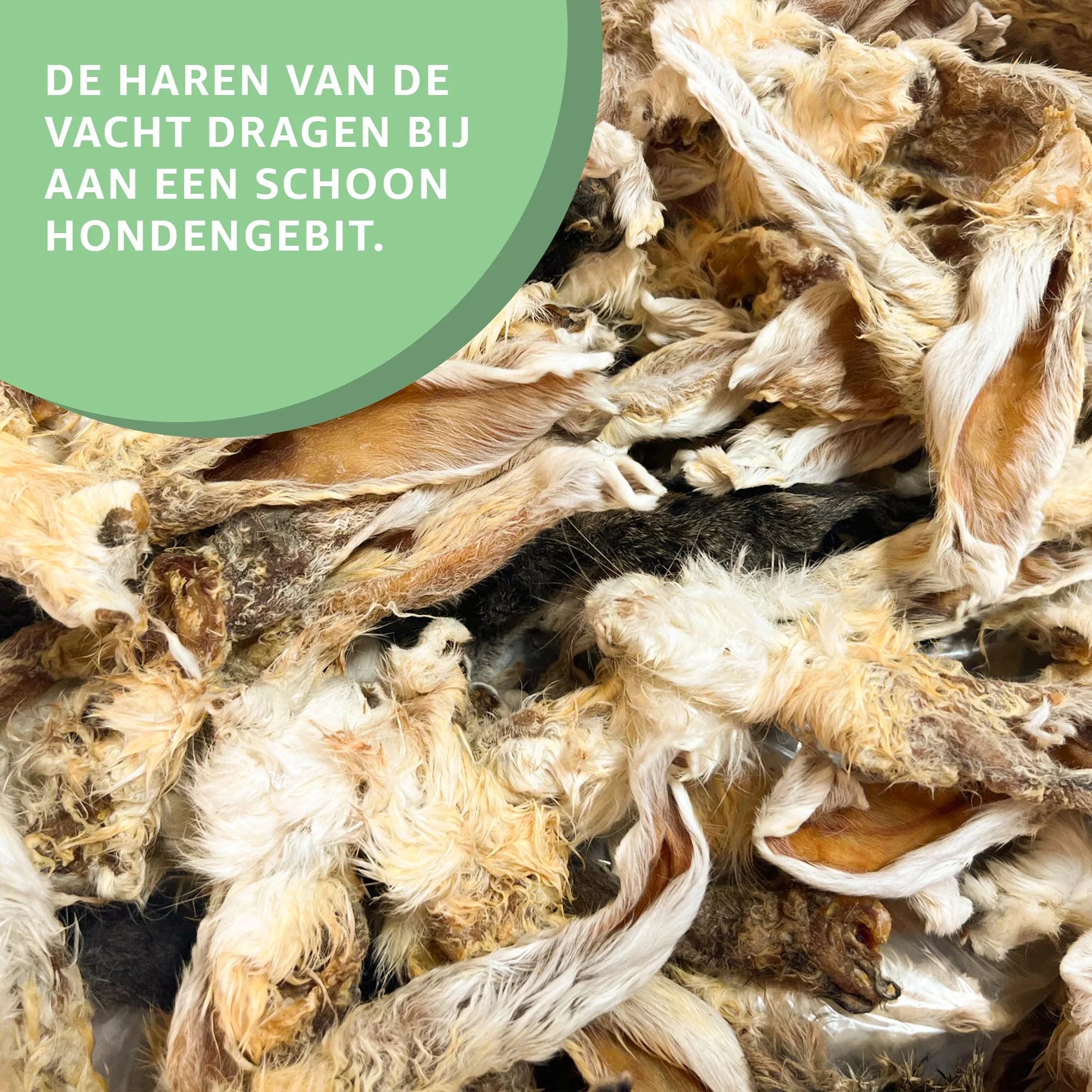 Konijnenoren met vacht
