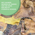 Runderkophuid Platen