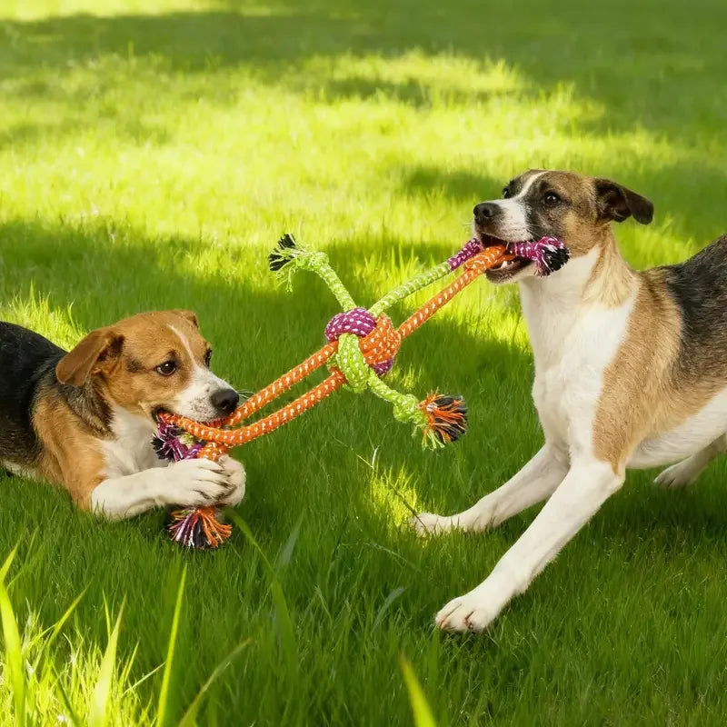 Dog Rope Toy