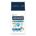 ADVANCE MAXI ADULT 14KG