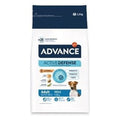 ADVANCE MINI ADULT 1,5KG
