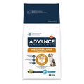 ADVANCE VET DOG WEIGHT BALANCE 12KG