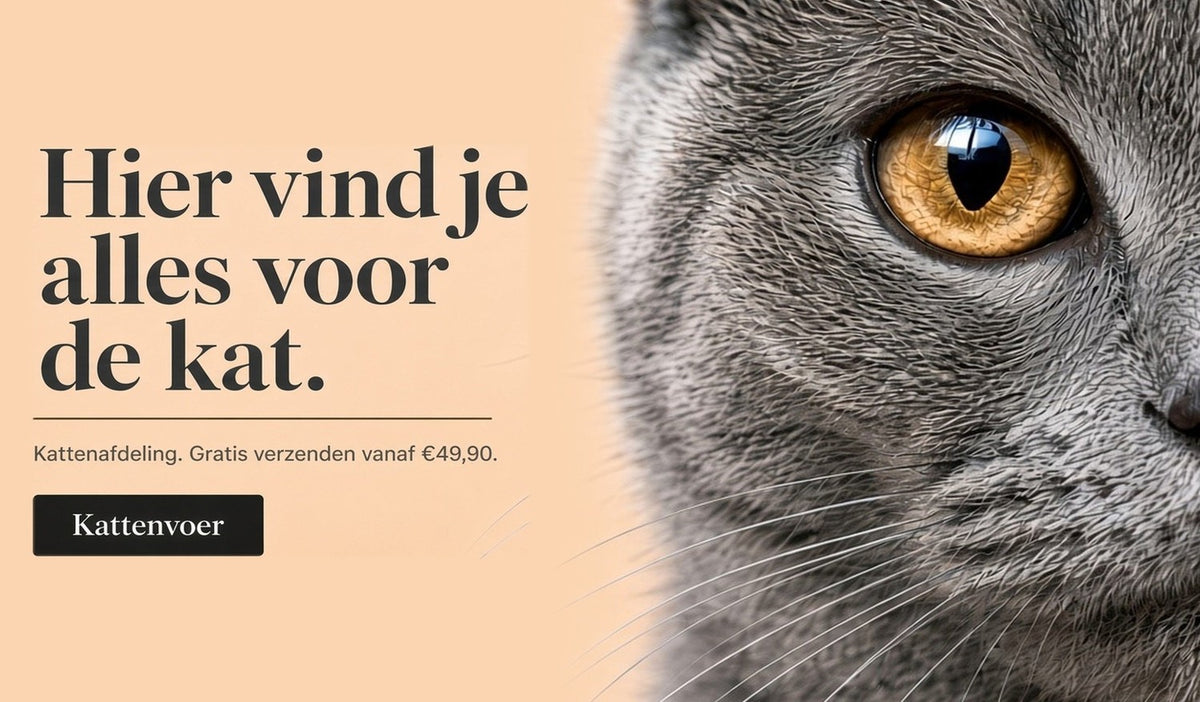 Hier vind je alles voor de kat – kattenvoer bij PetVibe