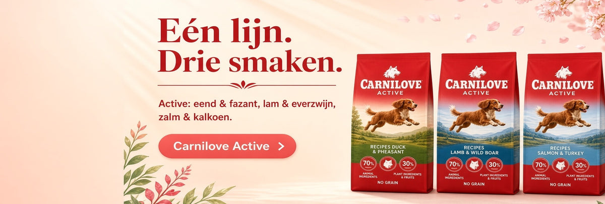 Carnilove Active: één lijn, drie smaken – eend & fazant, lam & everzwijn, zalm & kalkoen