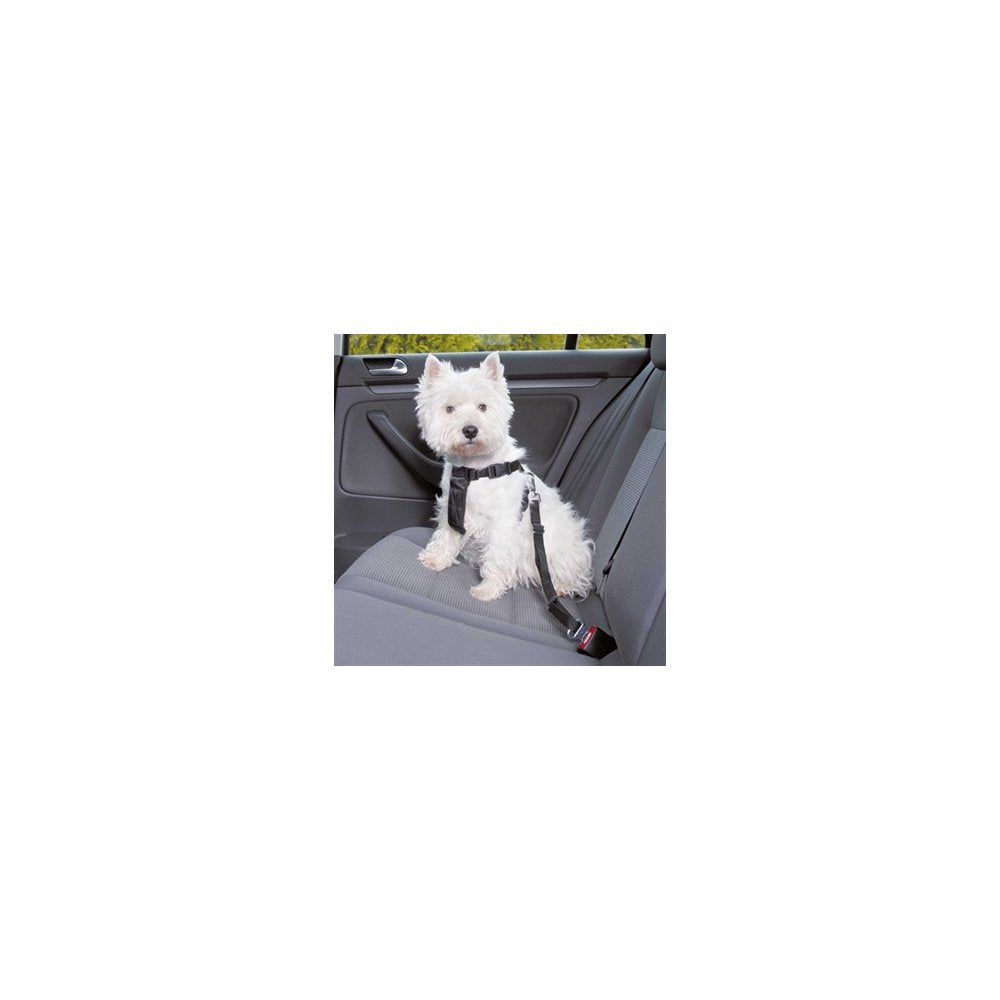 TUIG AUTO+LIJN ZWART 20-50CM