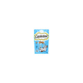 CATISFACTIONS ZALM 60GR