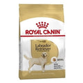 Royal Canin LABRADOR RETR Adult 12KG