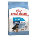 Royal Canin MAXI PUPPY 4KG