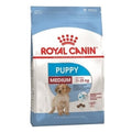 Royal Canin MEDIUM PUPPY 4KG